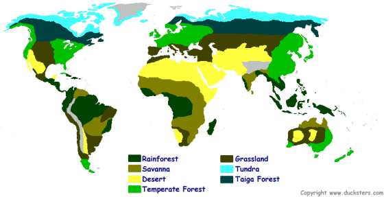 Science For Kids World Biomes And Ecosystems