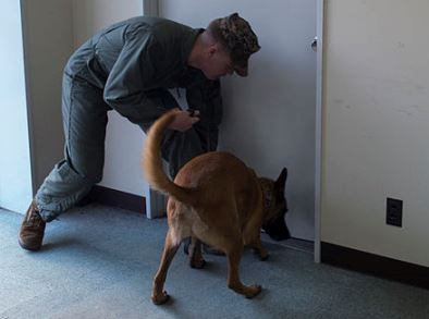 how do dogs help police