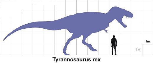 Tyrannosaurus, Tyrannosaurus Rex Facts
