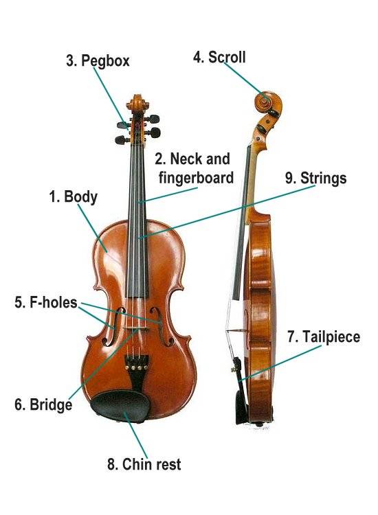 for Kids: Parts of the Violin
