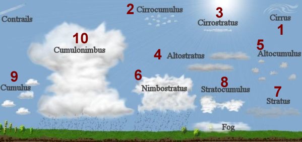 nimbostratus clouds for kids
