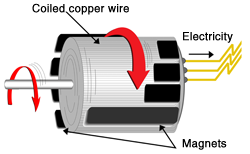 electricity and magnetism for kids
